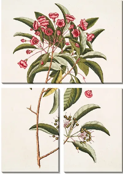 Картина Хамедафна покидает Тини (1754)