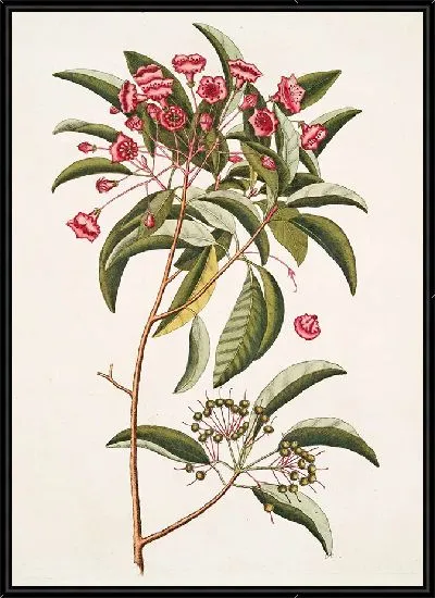 Картина Хамедафна покидает Тини (1754)