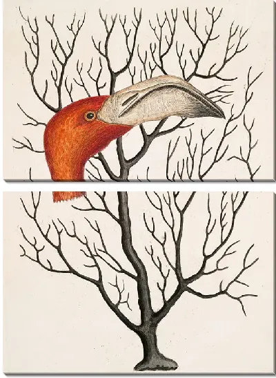 Картина Клюв фламинго в полном размере (1754)