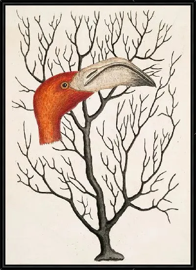 Картина Клюв фламинго в полном размере (1754)