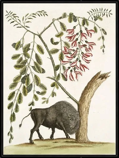 Картина Американский бизон и псевдоакация колючая с розовыми цветками (1754)