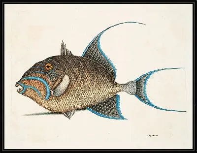 Картина Старая жена (1754)