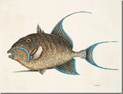 Картина Старая жена (1754)