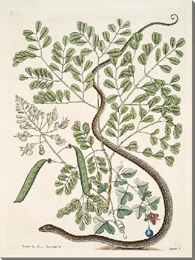 картина