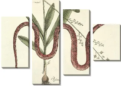 Картина Змея Pl.055 (1777)