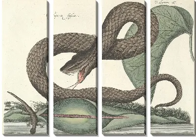 Картина Змея Pl.045 (1777)