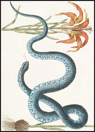 картина