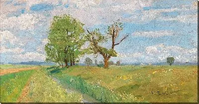 Картина Весенний пейзаж с ручьем