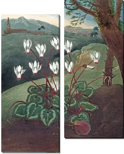 картина