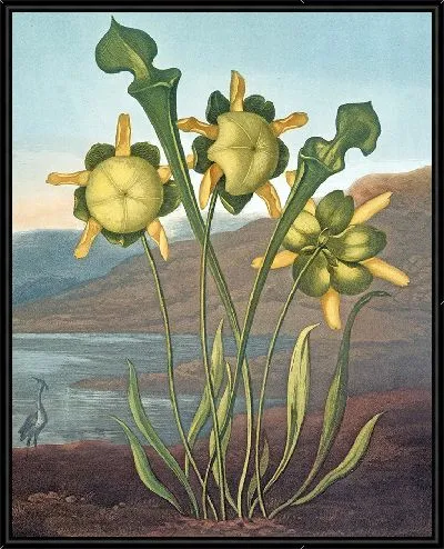 Картина Кувшинный завод (1807 г.)
