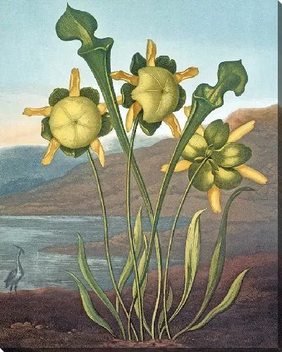 Картина Кувшинный завод (1807 г.)