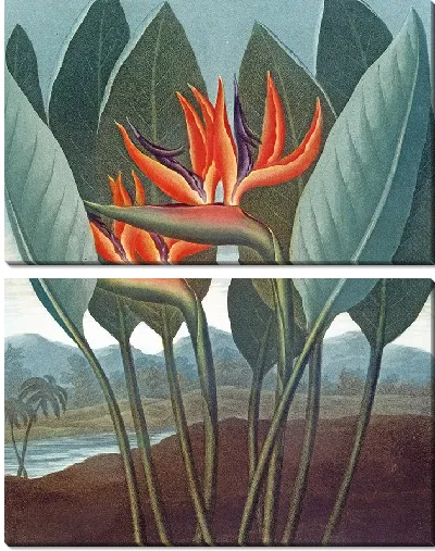 Картина Королева (1807)