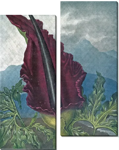 картина