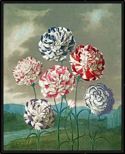 Картина Группа гвоздик (1807 г.)