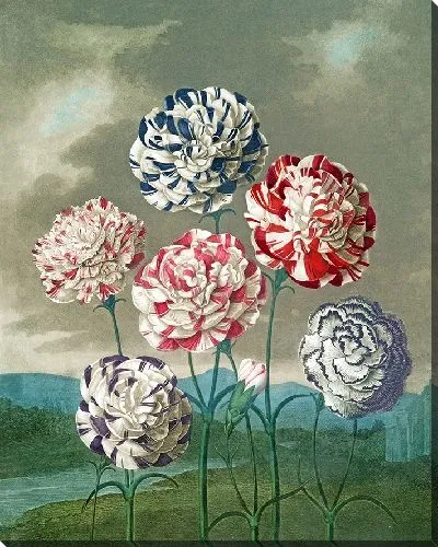 Картина Группа гвоздик (1807 г.)