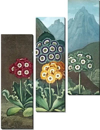 Картина Группа аурикул (1807 г.)