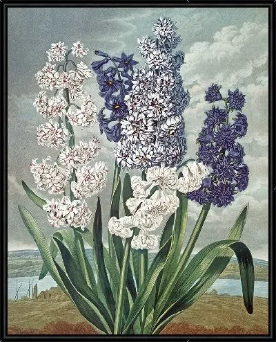 Картина Гиацинты (1807 г.)