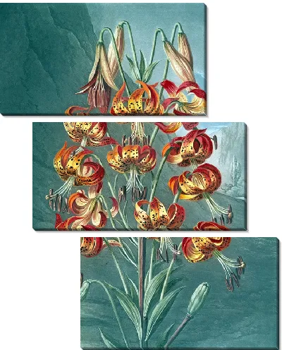 Картина Великолепная лилия (1807 г.)