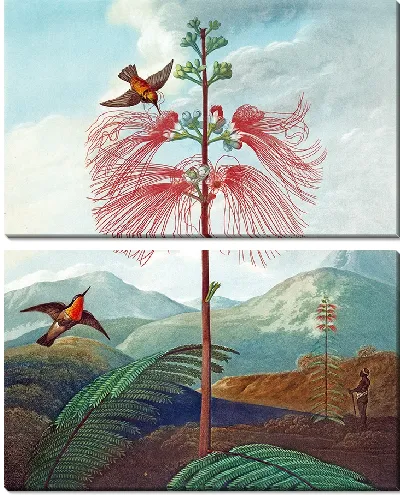 Картина Большое чувственное растение (1807 г.)