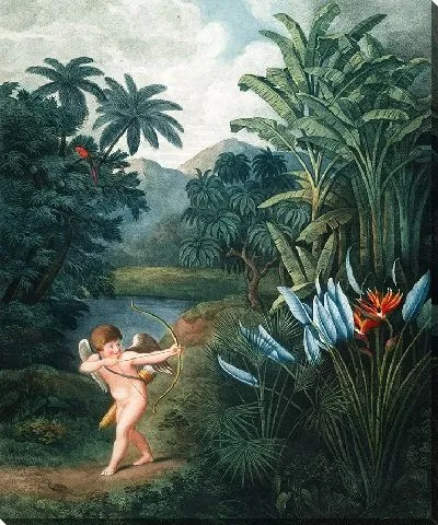 Картина Амур, с любящими вдохновляющими растениями (1807 г.)
