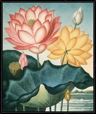 Картина Священный египетский боб (1807 г.)