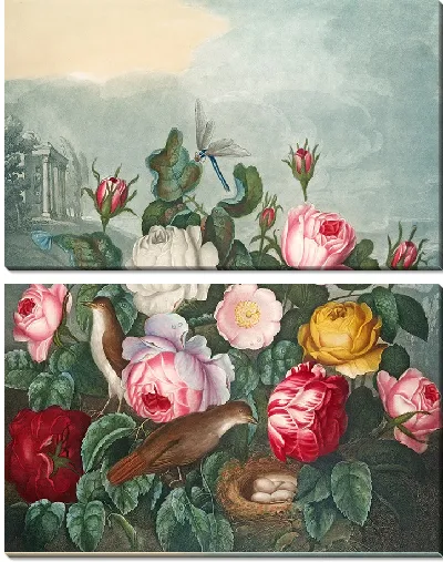 Картина Розы (1807)