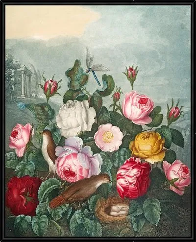 Картина Розы (1807)
