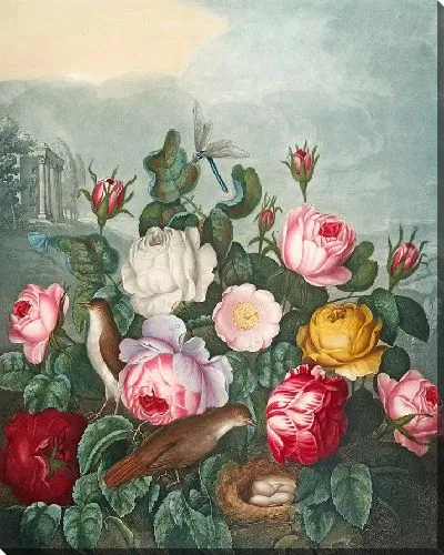 Картина Розы (1807)