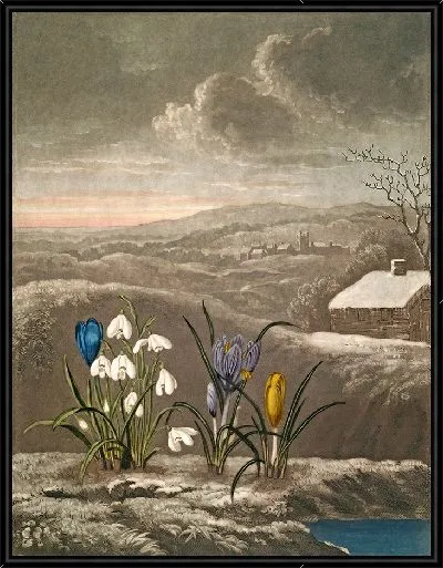 Картина Подснежник (1807)