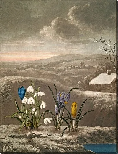 Картина Подснежник (1807)