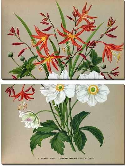 Картина Крокосмия золотистая и .Анемона японская (1872-1881)