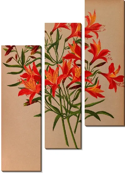 Картина Альстромерия Аурантиака (1872-1881)