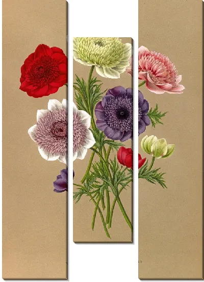 Картина Анемоны Коронария (1872-1881)