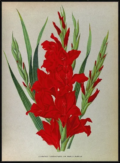 картина