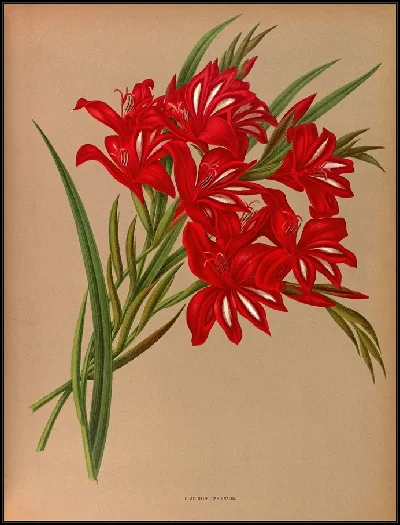 картина