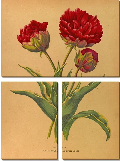 Картина Тюльпаны Рекс Руброрум с пестрыми листьями (1872-1881)