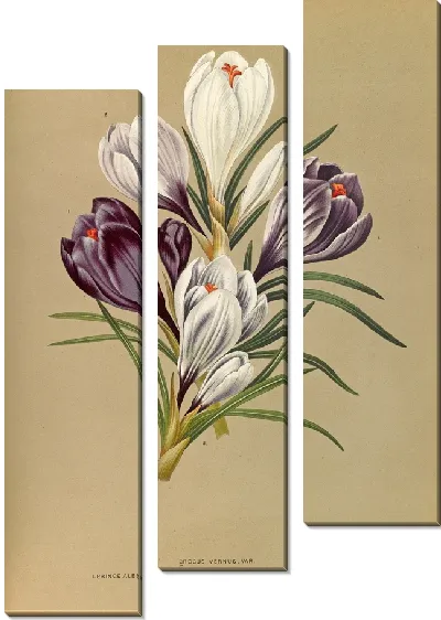 Картина Крокус Вернус (1872-1881)