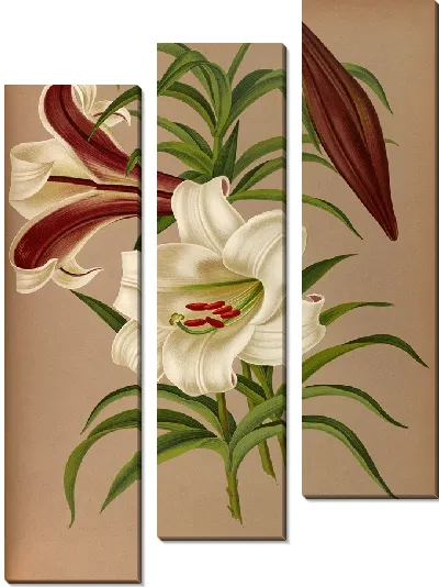 Картина Лилии Брауни (1872–1881)