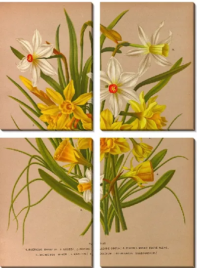 Картина Нарцисс 1 (1872-1881)