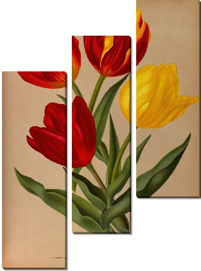 Картина Одиночные ранние тюльпаны 4 (1872-1881)