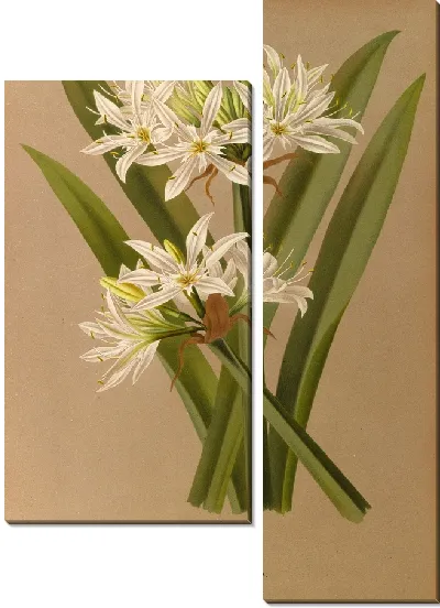 Картина Панкратий Иллирикум (1872-1881)