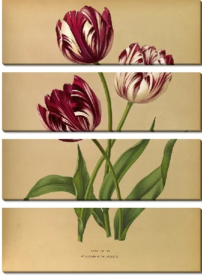 Картина Поздние тюльпаны (1872-1881)