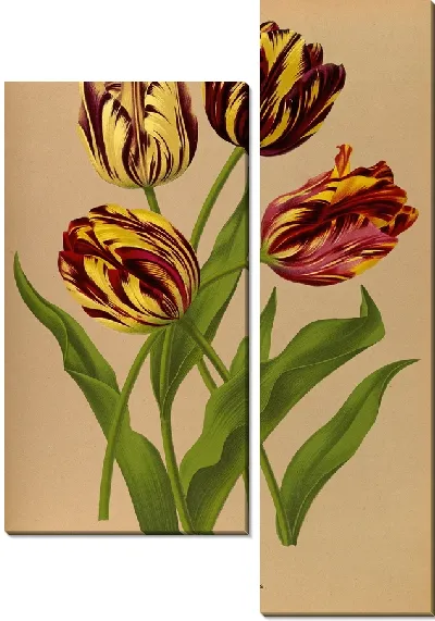 Картина Поздние тюльпаны Bizarres (1872-1881)