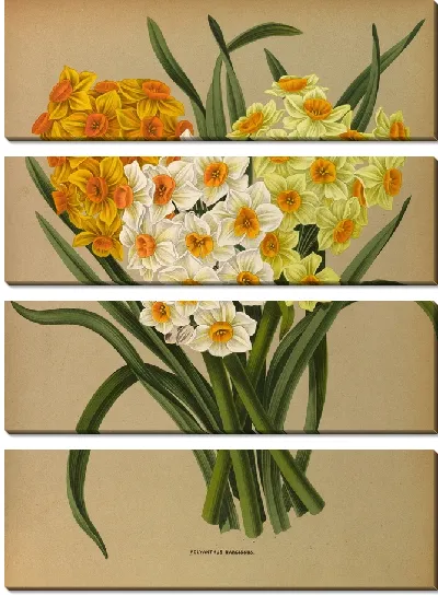 Картина Полиант Нарцисс (1872-1881)