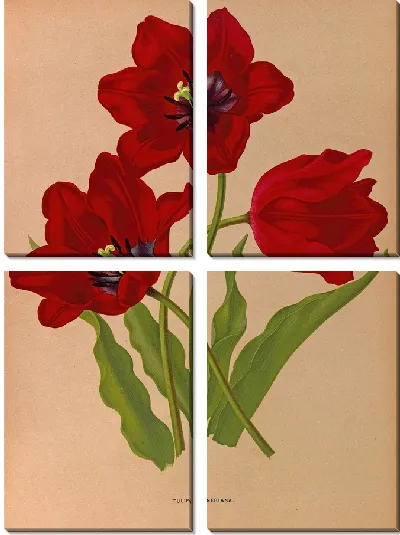 Картина Тюльпан Геснериана (1872-1881)