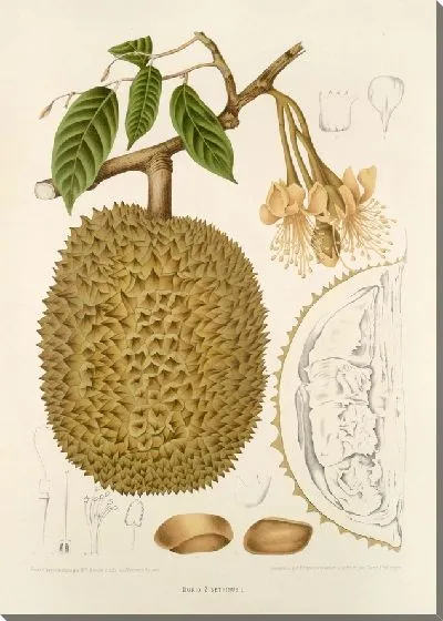 Картина PLL №28