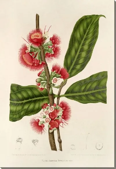 Картина PLL №29