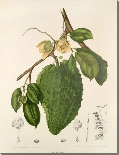 Картина PLL №39