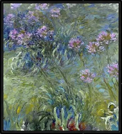 Африканская лилия