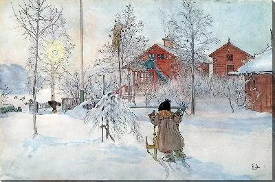 Двор и прачечная